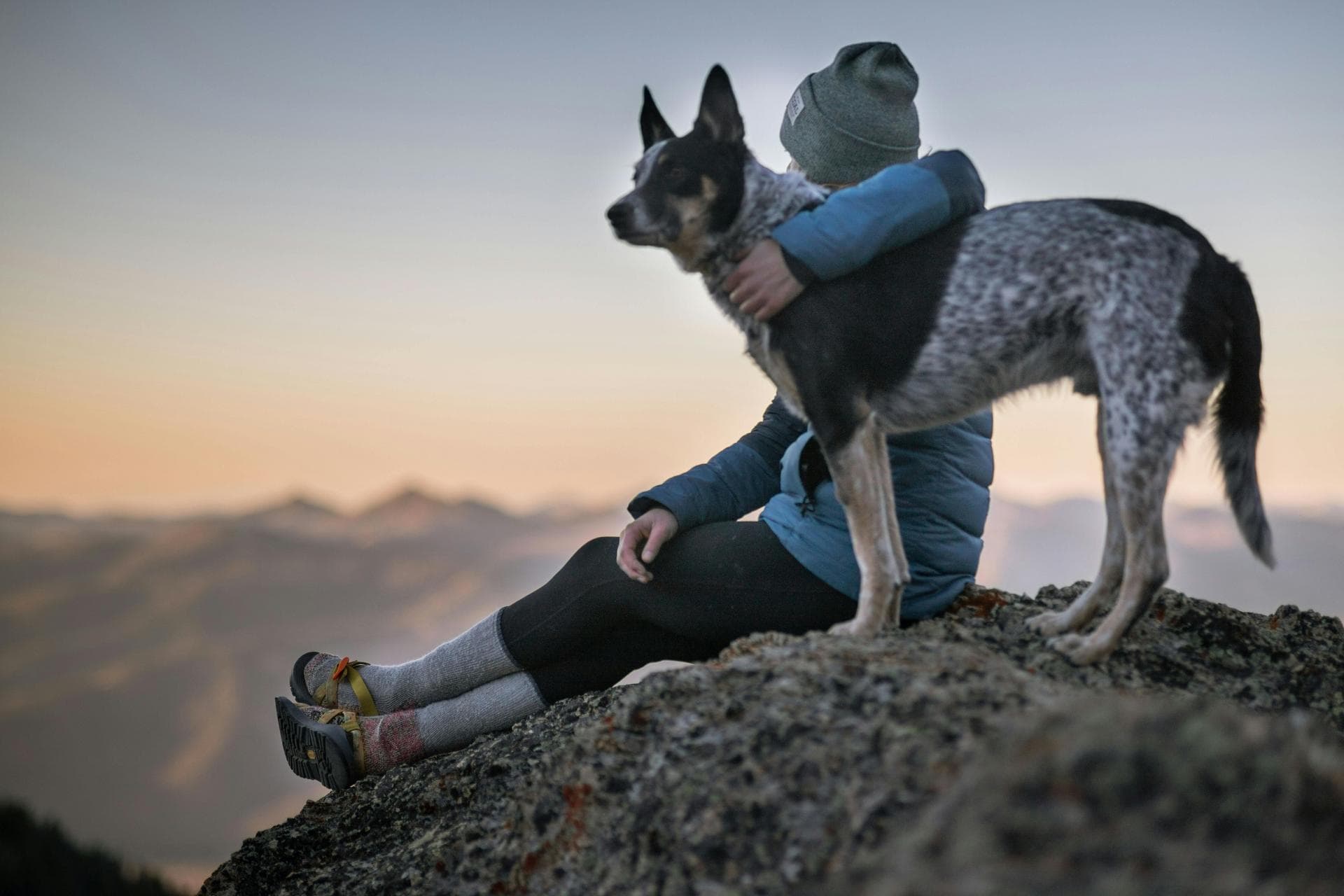 Best Vets in Coeur d'Alene